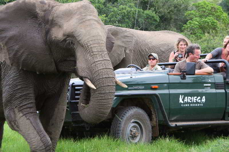 Kariega Game Reserve Bushman's River Mouth Exterior foto