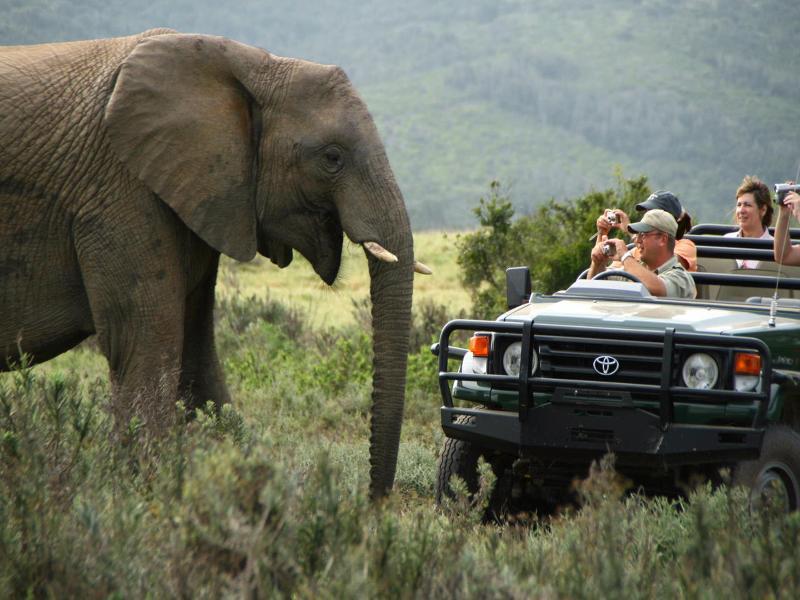 Kariega Game Reserve Bushman's River Mouth Exterior foto